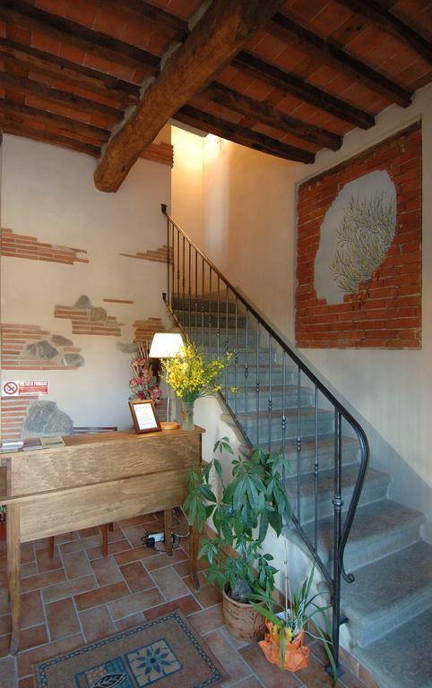 Le Ginestre B & B Massarosa Exteriér fotografie